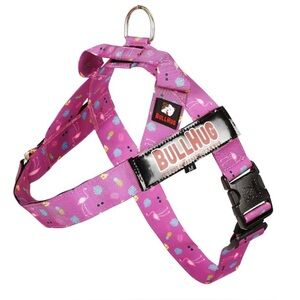 A Small BullHug Harness. Flamingo’s. Only used a few times. Like new.